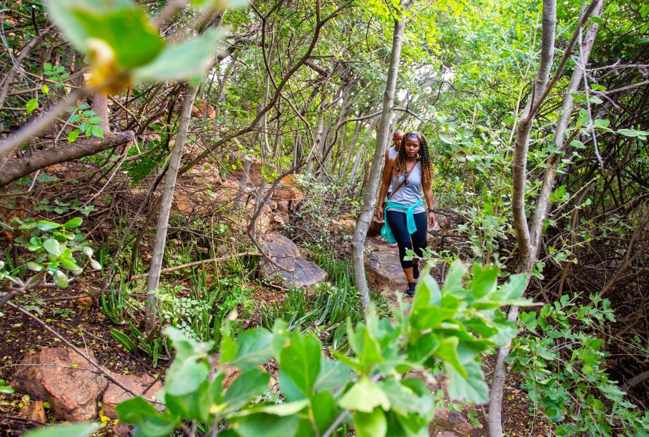 The Cliffside Boutique Getaway Pension Johannesburg Buitenkant foto